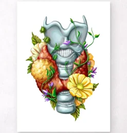 Adénome thyroïdien - Floral - Blanc