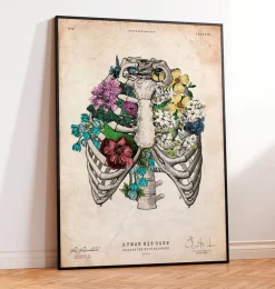 Affiche cage thoracique - Couleur