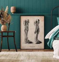 Affiche d'anatomie des jambes