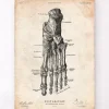 Affiche d'anatomie du pied IV