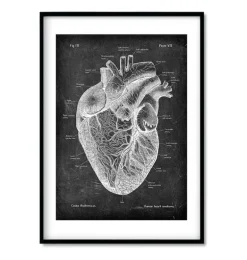 Anatomie cardiaque - Chalkboard - Lot de 3