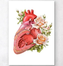 Anatomie cardiaque - Floral - Blanc