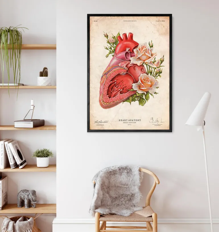 Anatomie cardiaque - Floral - Vieux papiers