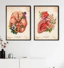 Anatomie cardiaque - Floral - Vieux papiers