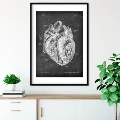 Anatomie cardiaque disséquée - Chalkboard