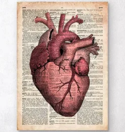 Anatomie cardiaque III - Ancienne page de dictionnaire