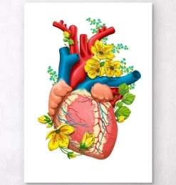 Anatomie cardiaque III - Floral - Blanc