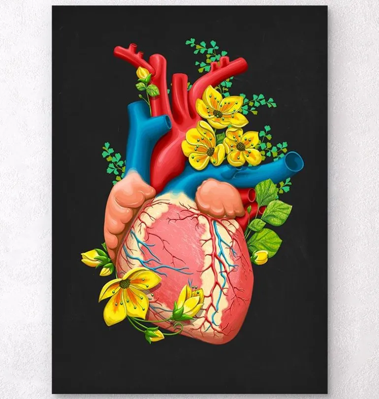 Anatomie cardiaque III - Floral - Noir