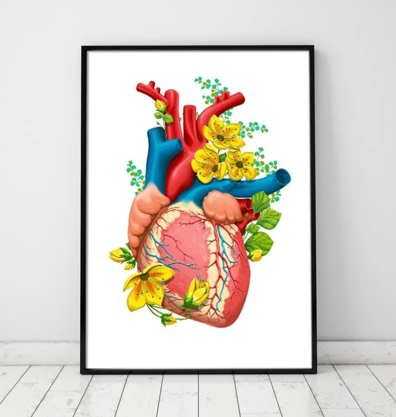 Anatomie cardiaque III - Floral - Blanc