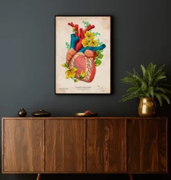 Anatomie cardiaque III - Floral - Vintage
