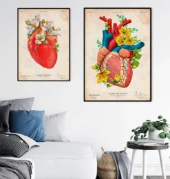 Anatomie cardiaque III - Floral - Vintage