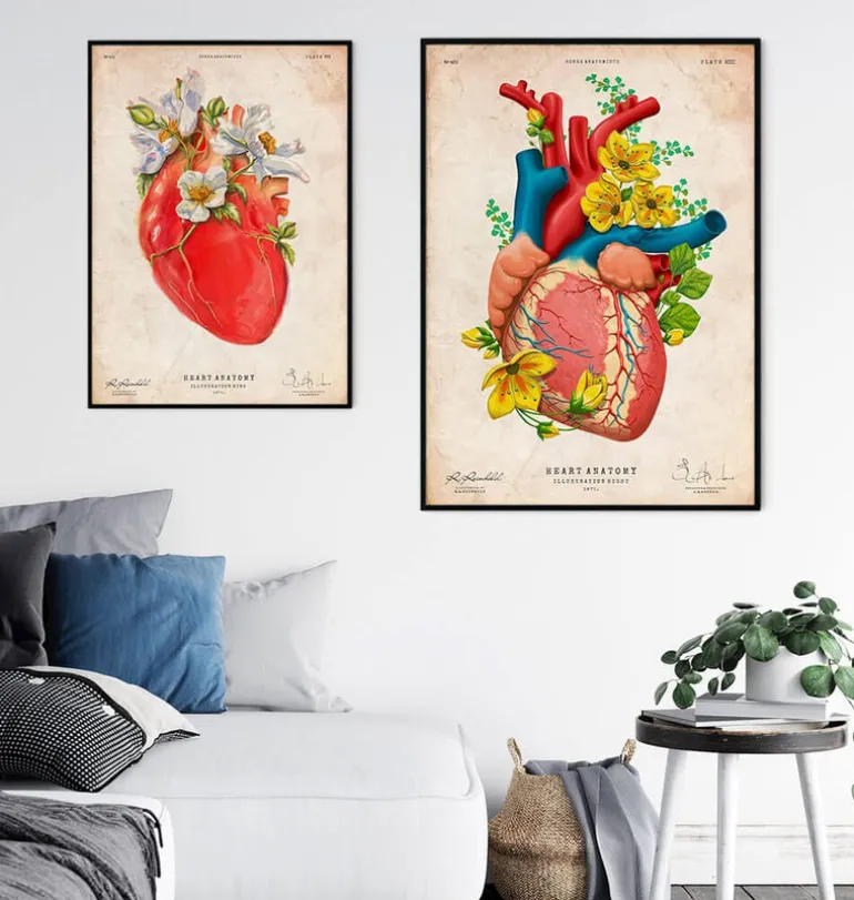 Anatomie cardiaque III - Floral - Vintage