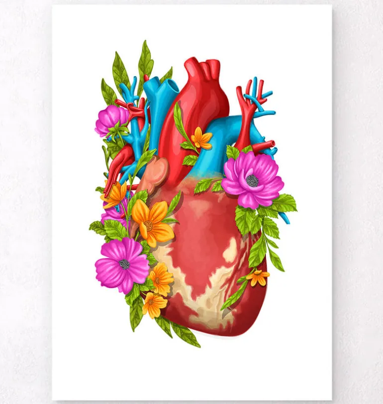 Anatomie cardiaque IV - Floral - Blanc