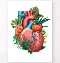 Anatomie cardiaque V - Floral - Blanc