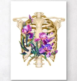 Anatomie de la cage thoracique - Floral - Blanc