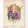 Anatomie de la cage thoracique - Floral - Vieux papier