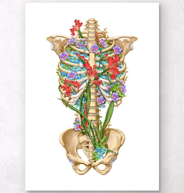 Anatomie de la cage thoracique - Floral - Blanc