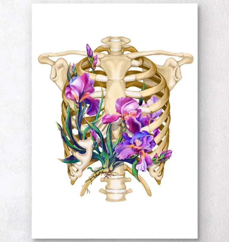 Anatomie de la cage thoracique - Floral - Blanc