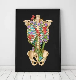 Anatomie de la cage thoracique - Floral - Noir