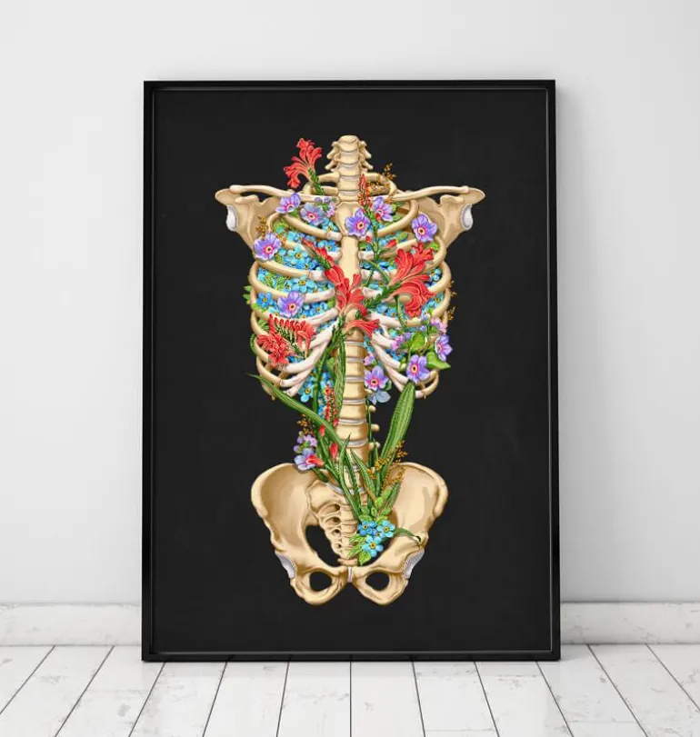 Anatomie de la cage thoracique - Floral - Noir