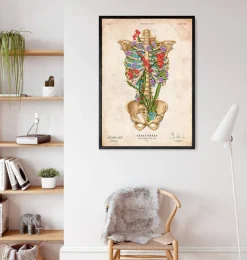 Anatomie de la cage thoracique II - Floral - Vintage