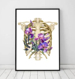 Anatomie de la cage thoracique - Floral - Blanc