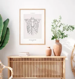 Anatomie de la cage thoracique - Line Art