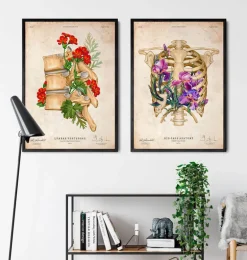Anatomie de la cage thoracique - Floral - Vieux papier