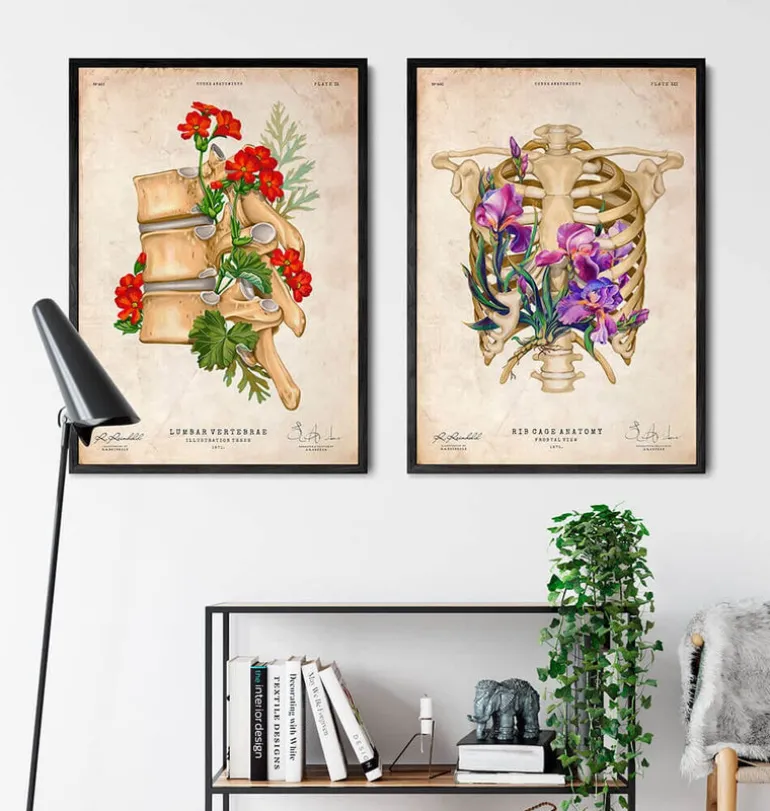 Anatomie de la cage thoracique - Floral - Vieux papier