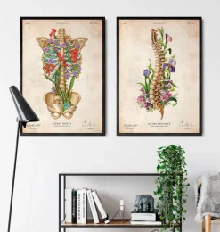 Anatomie de la cage thoracique II - Floral - Vintage