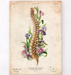 Anatomie de la colonne vertébrale - Floral - Vieux papier