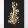 Anatomie de la colonne vertébrale - Floral - Noir