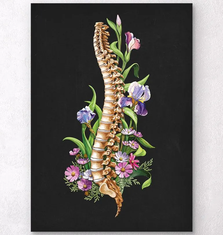 Anatomie de la colonne vertébrale - Floral - Noir