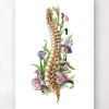 Anatomie de la colonne vertébrale - Floral - Blanc
