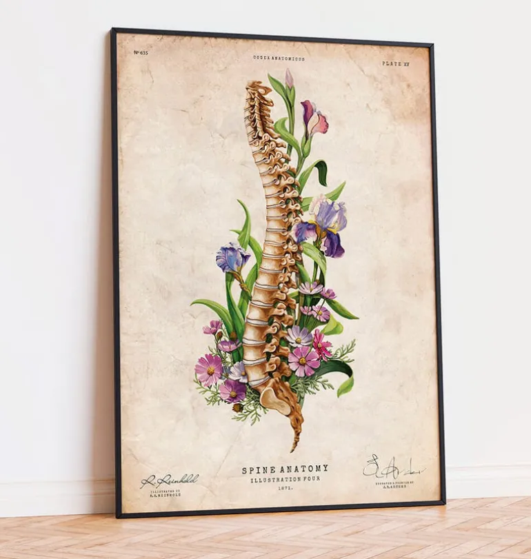 Anatomie de la colonne vertébrale - Floral - Vieux papier