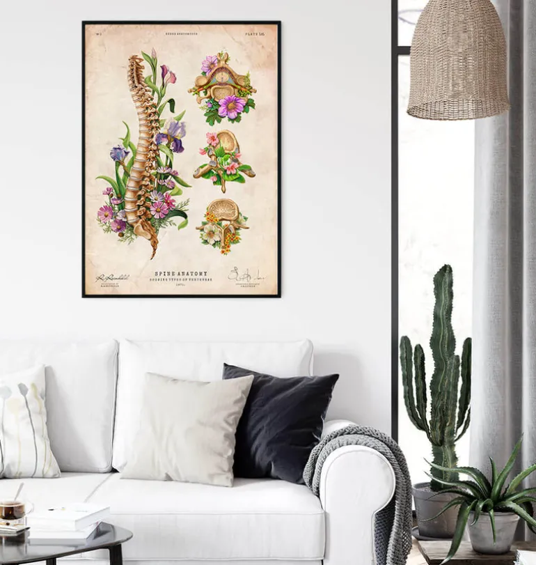 Anatomie de la colonne vertébrale - Floral - Vintage