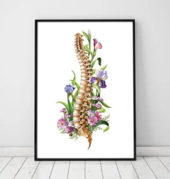 Anatomie de la colonne vertébrale - Floral - Blanc