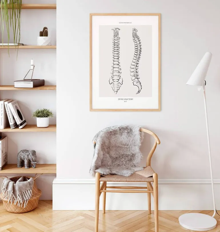 Anatomie de la colonne vertébrale - Line Art