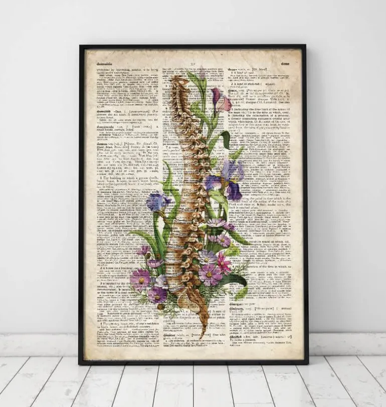 Anatomie de la colonne vertébrale - Ancien dictionnaire