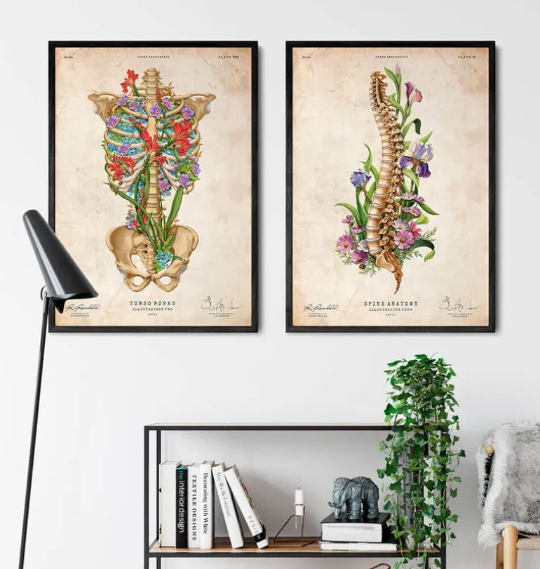Anatomie de la colonne vertébrale - Floral - Vieux papier