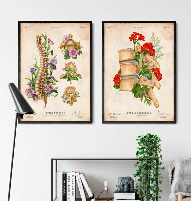 Anatomie de la colonne vertébrale - Floral - Vintage