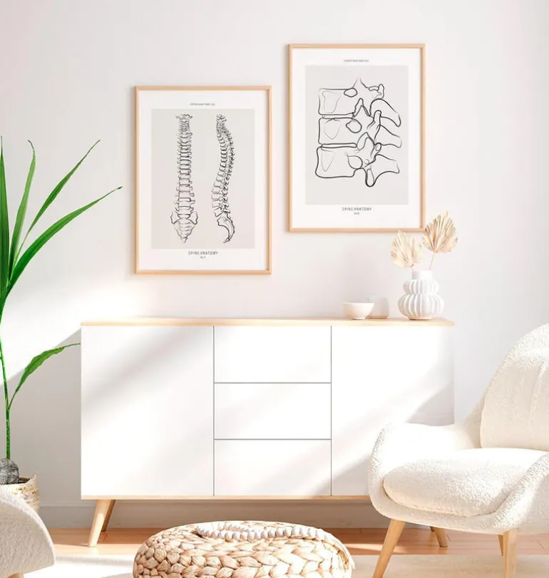 Anatomie de la colonne vertébrale - Line Art