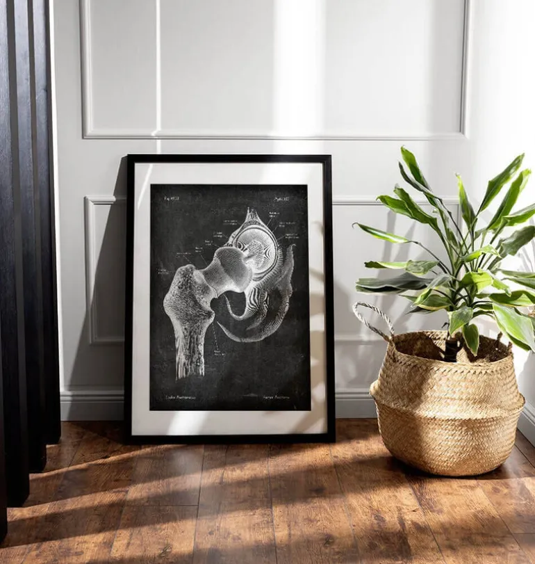 Anatomie de la hanche - Chalkboard