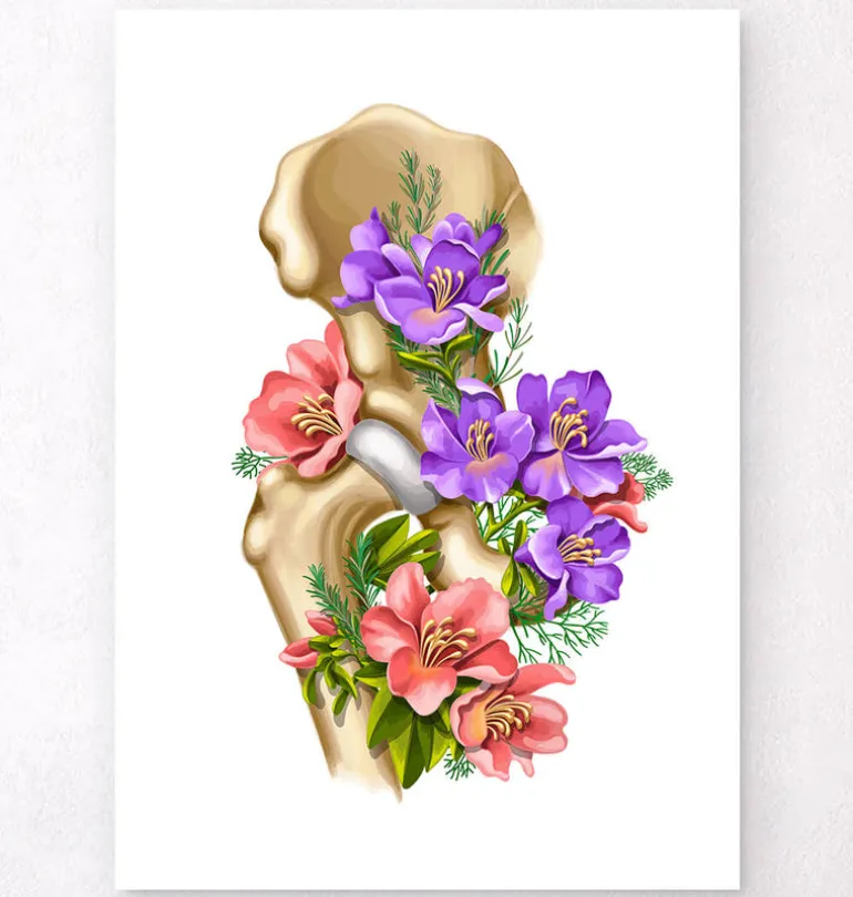 Anatomie de la hanche - Floral - Blanc