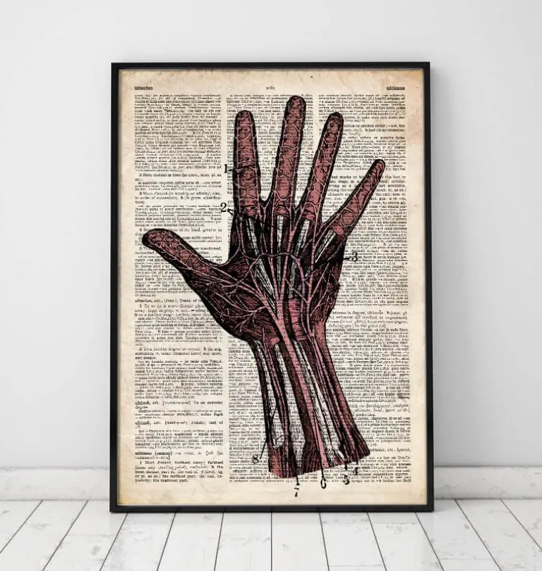 Anatomie de la main - Dictionnaire