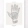Anatomie de la main - Line Art