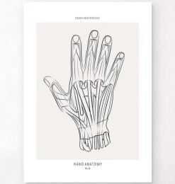 Anatomie de la main - Line Art