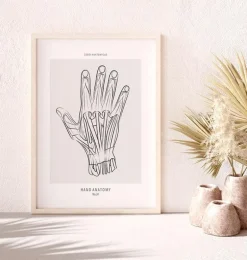 Anatomie de la main - Line Art
