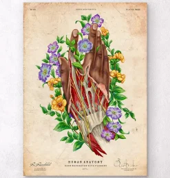 Anatomie de la main - Peau foncée