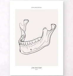 Anatomie de la mâchoire - Line Art